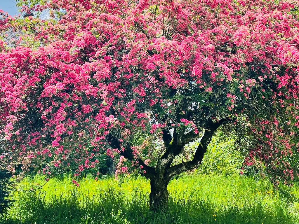 gite_correze_pierres_confort-nature