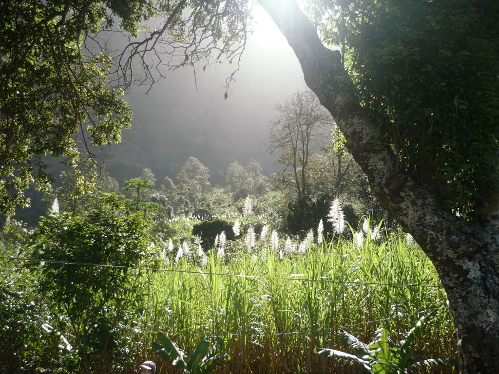 kasa-tambla-hebergement-hotel-ponta-do-sol-santo-antao-cap-vert
