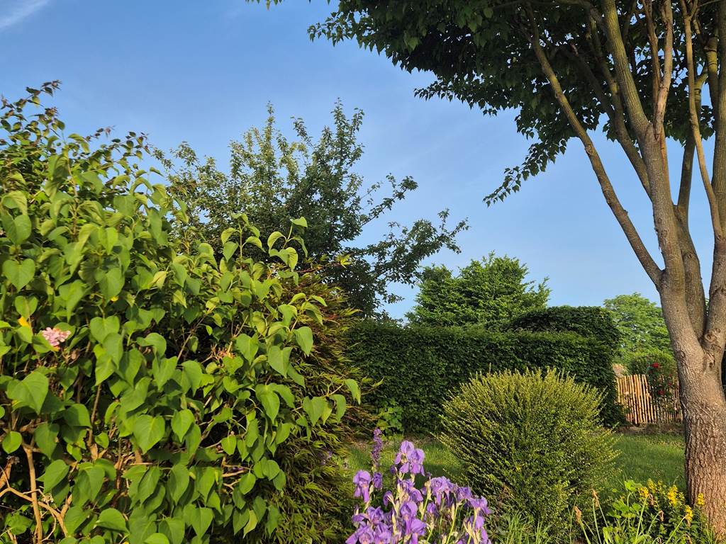 Plantes de la partie du jardin pour les clients