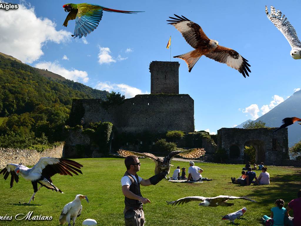 Le Donjon des Aigles