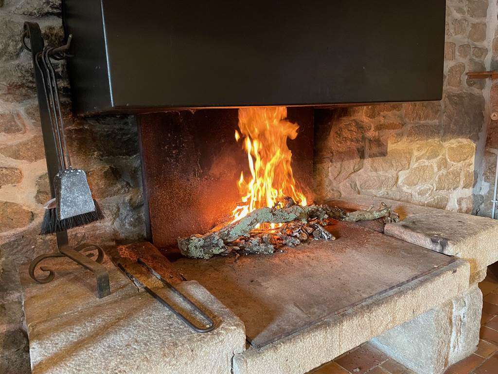 Feu de chéminée-Petit Gîte