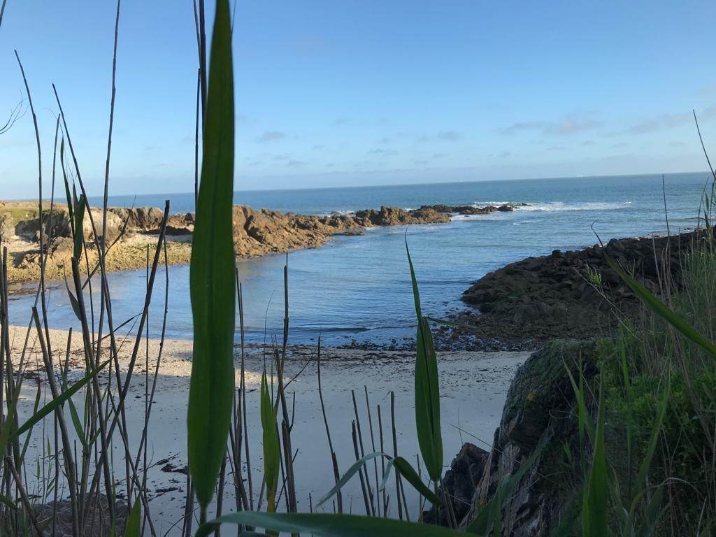 Côte sauvage du Pouliguen