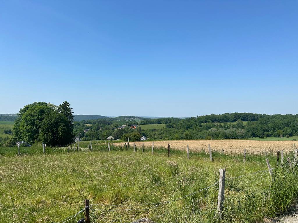 Vue campagne Falmagne - Falmignoul