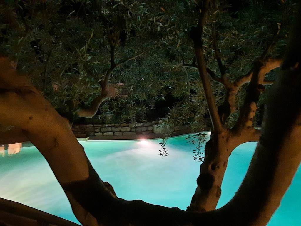 Le Coq du Nord - Mailhac piscine de nuit