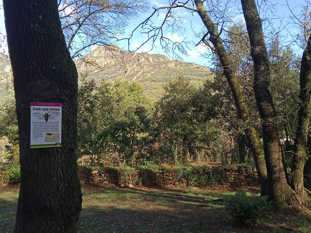 tres grand emplacement, 20 personnes max, la cigale