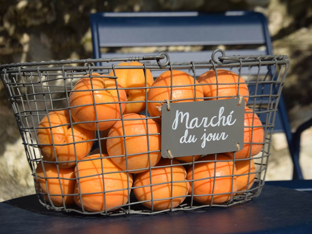 Récolte d'abricots