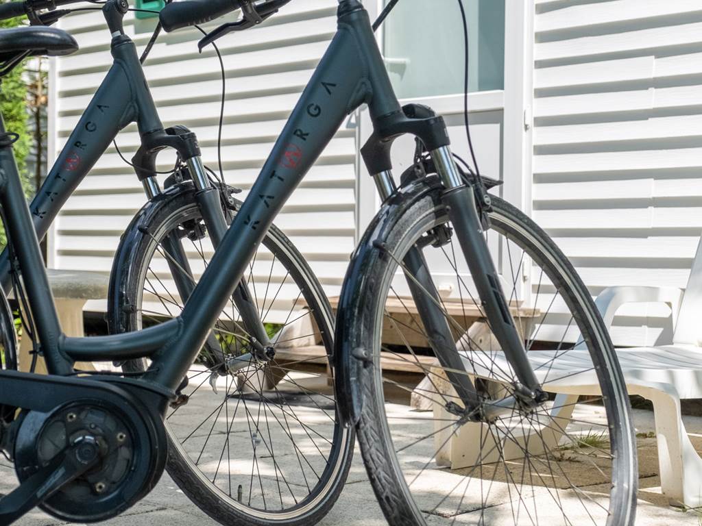Vélos éléctriques 2021