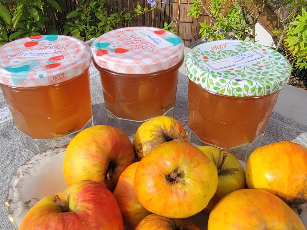 pommes du jardin et leur gelée