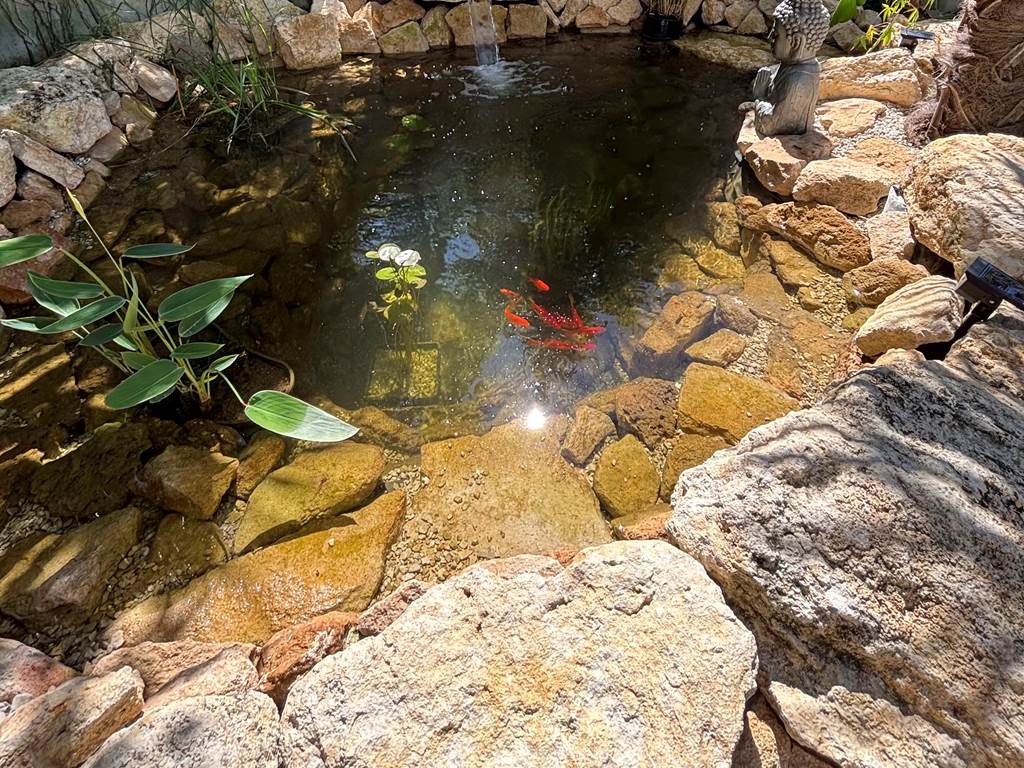 le bassin