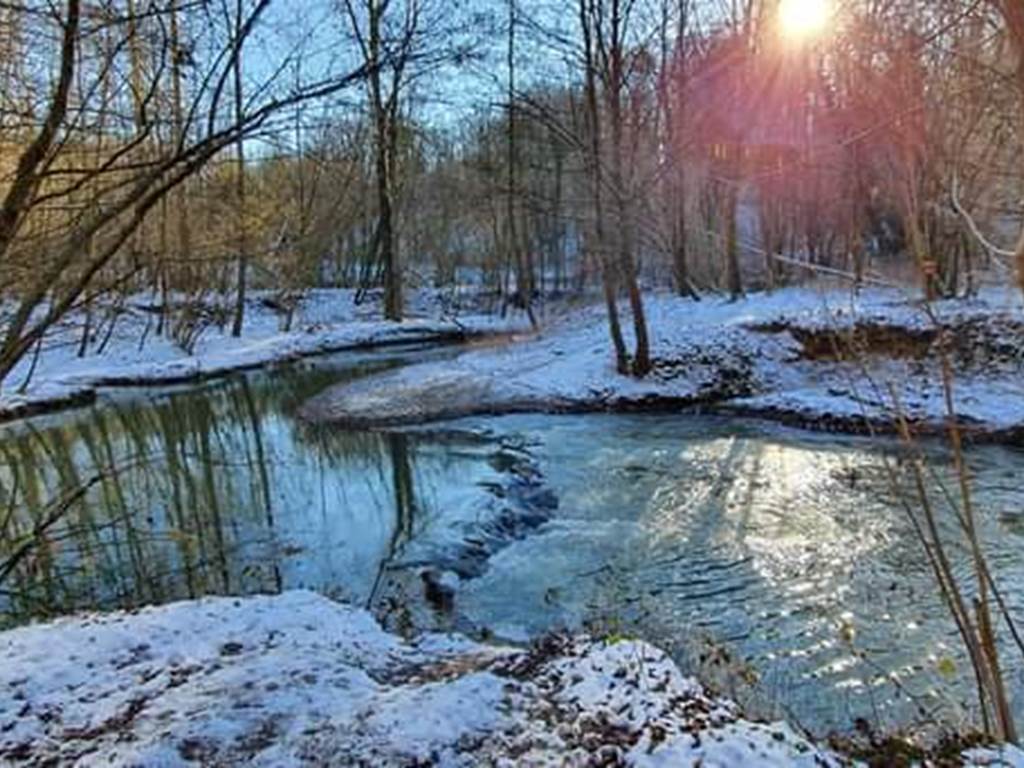 dans le bois du caillou qui bique, un jour d'hiver