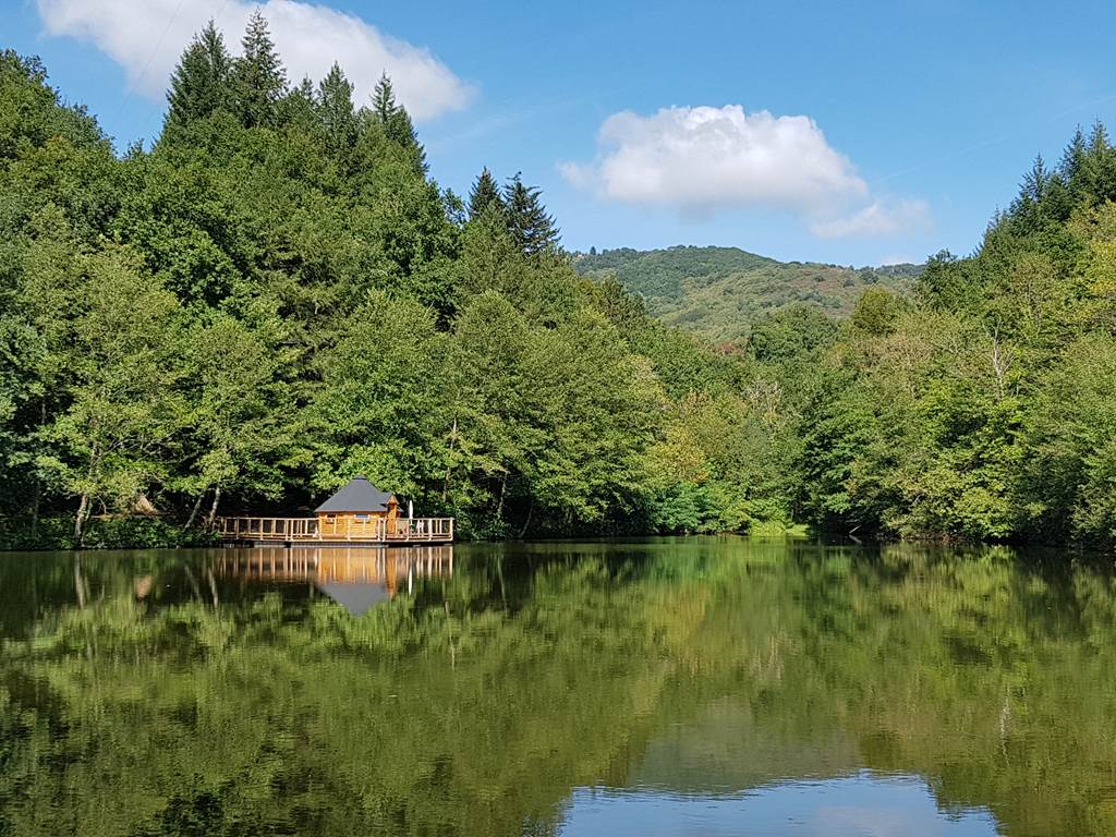 Cabane flottante Libellule