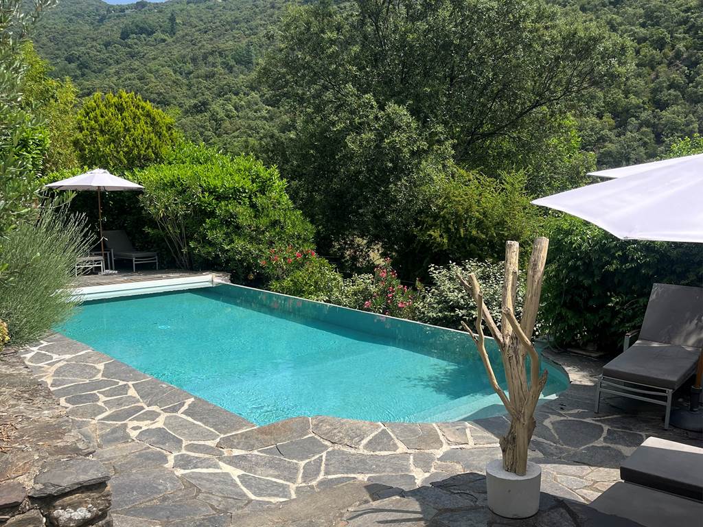 Vue piscine printemps été