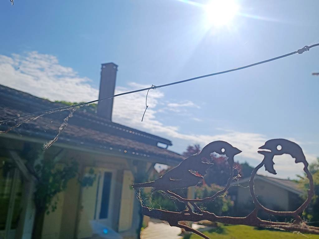 location Gîtes, chambre d'hôtes et table d'hôtes gastronomique à Casteljaloux Lot et Garonne, piscine, jacuzzi et spa