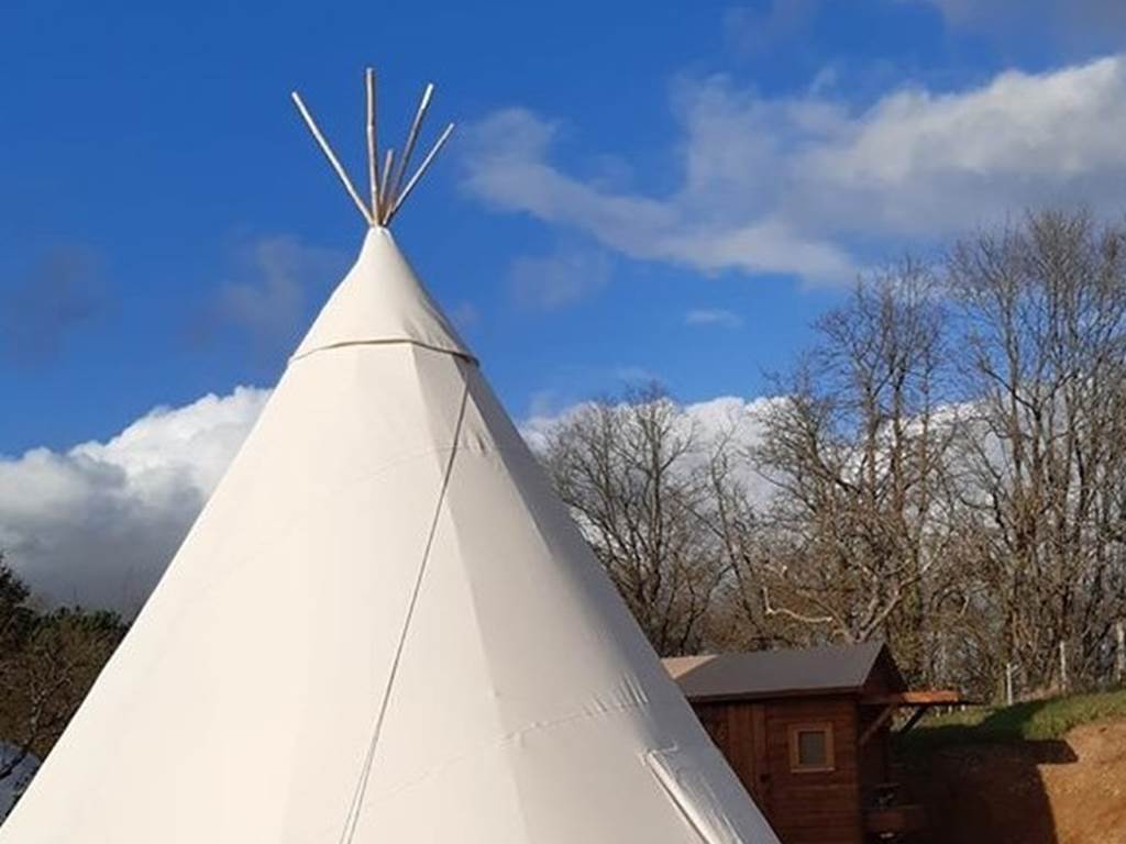 tipi