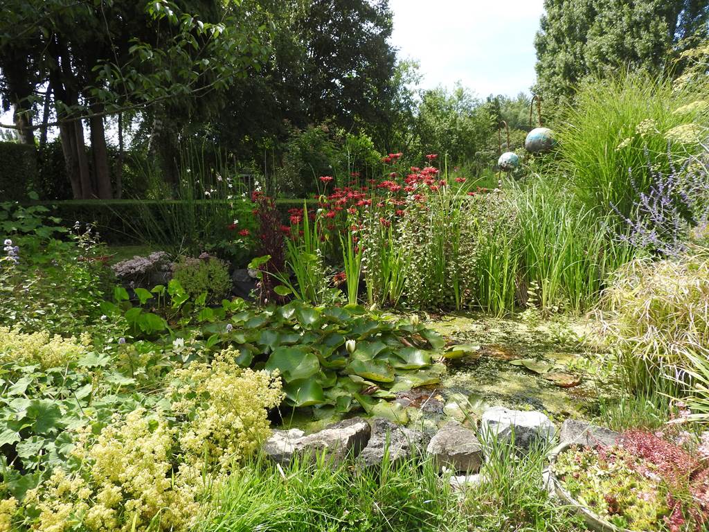 Jardin 6