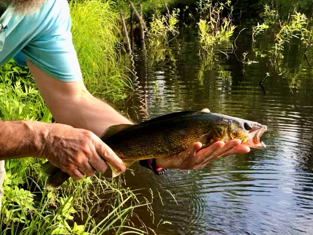 Pêche au Domaine le Bostonnais