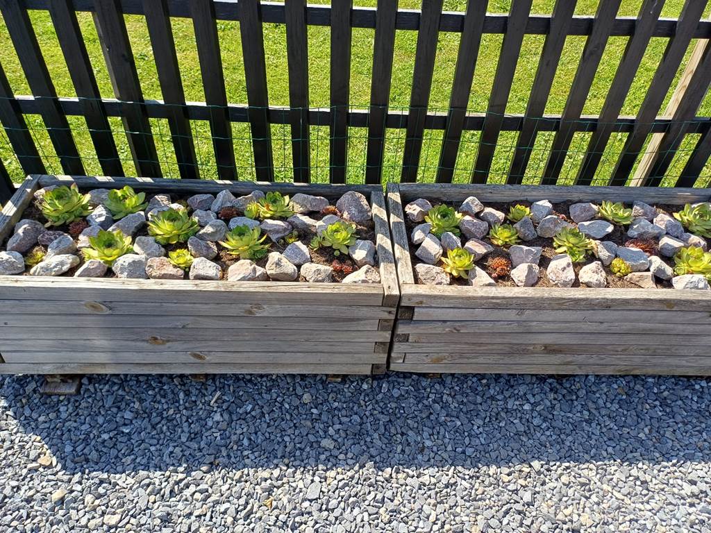 Un exemple de plantation décorative.