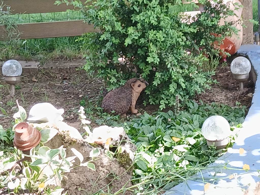 jardin Marie