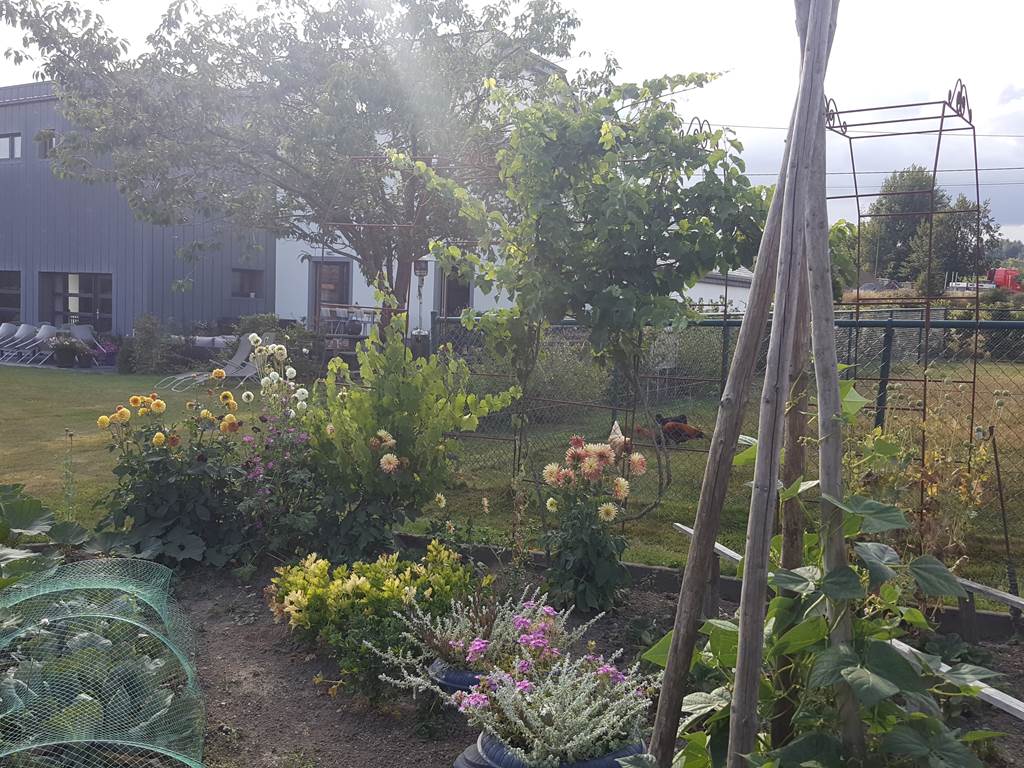 potager