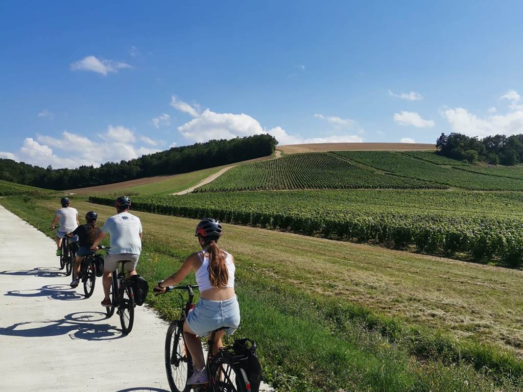 vigne-randonnée-bourgogne-vélo-balade-nature