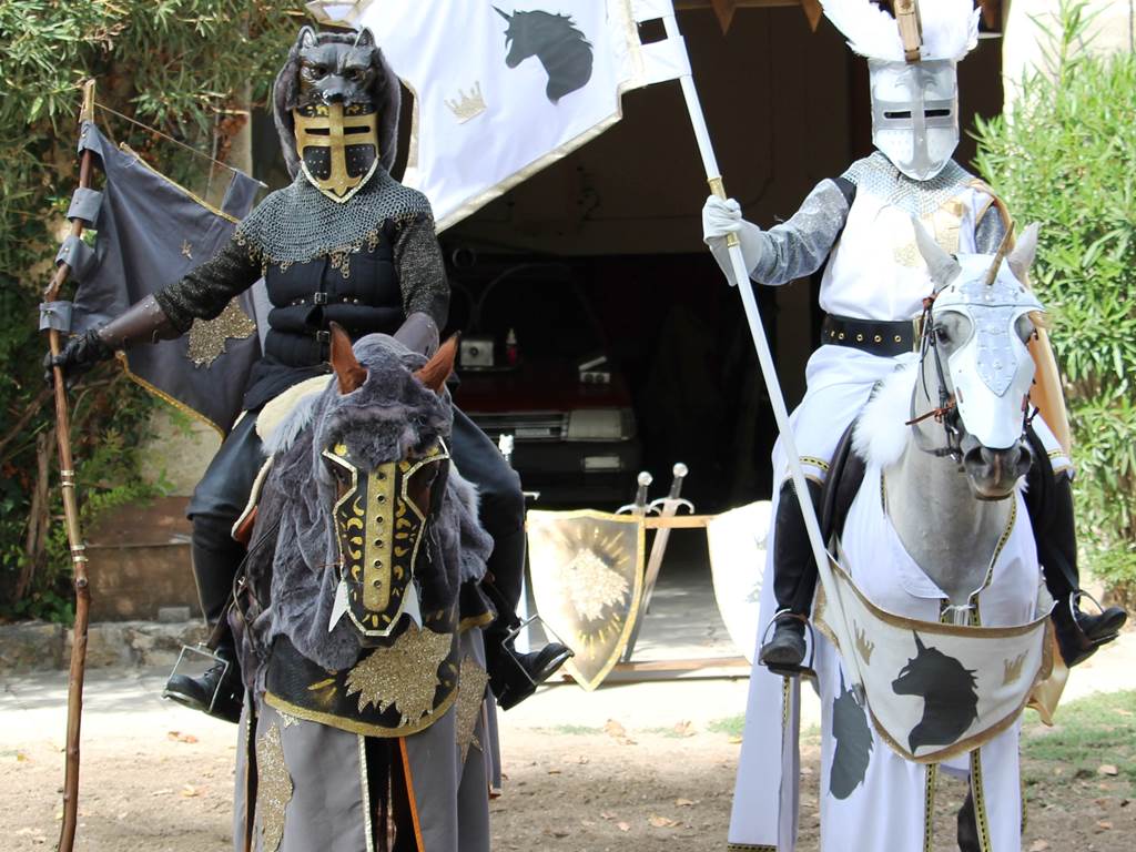 chevaliers fanatstiques 2018