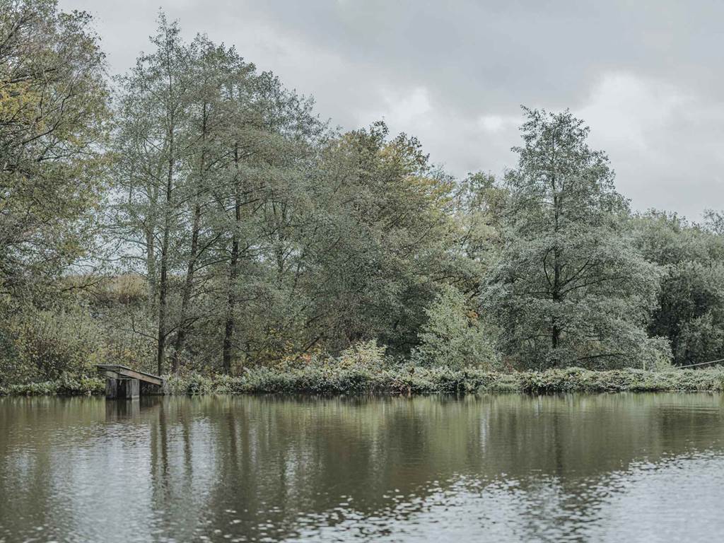 La Bergerie - étang
