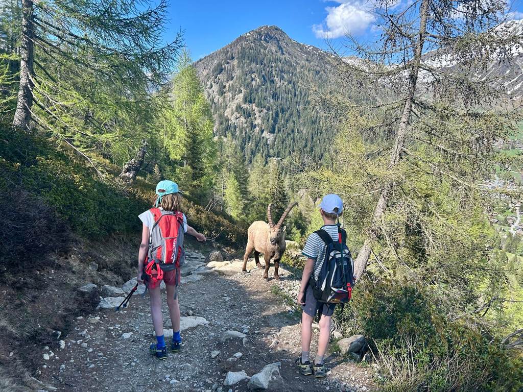 Vallorcine - Réserves des Aiguilles Rouges, des rencontres inoubliable