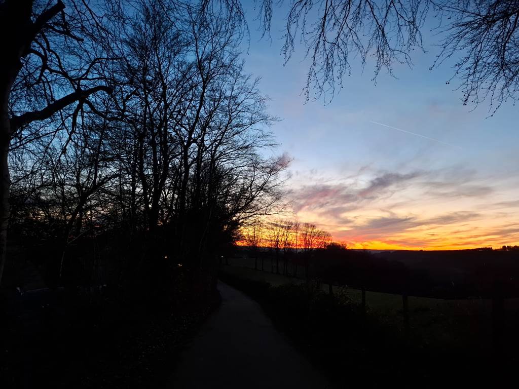 IMG-20241130-WA0006
