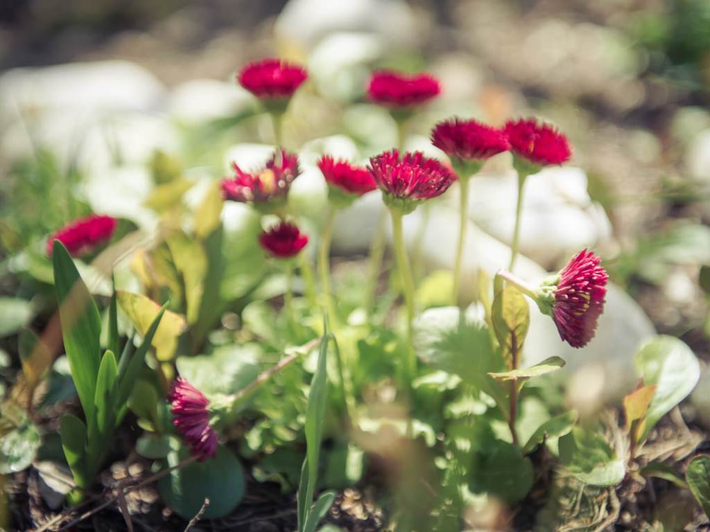 0001_cocody-002 copie