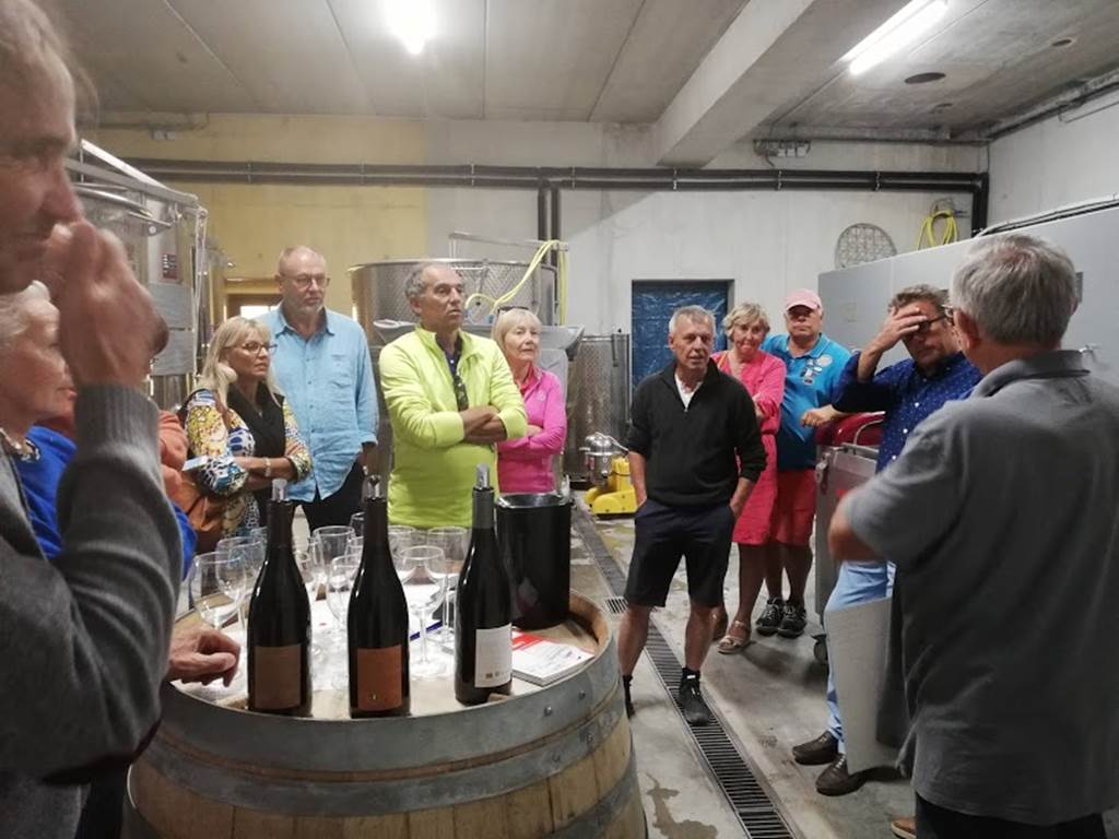 winetasting