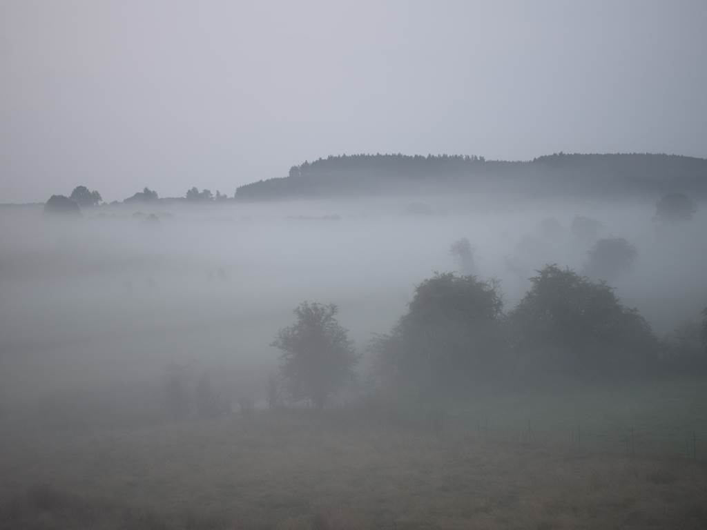 Brouillard automnal