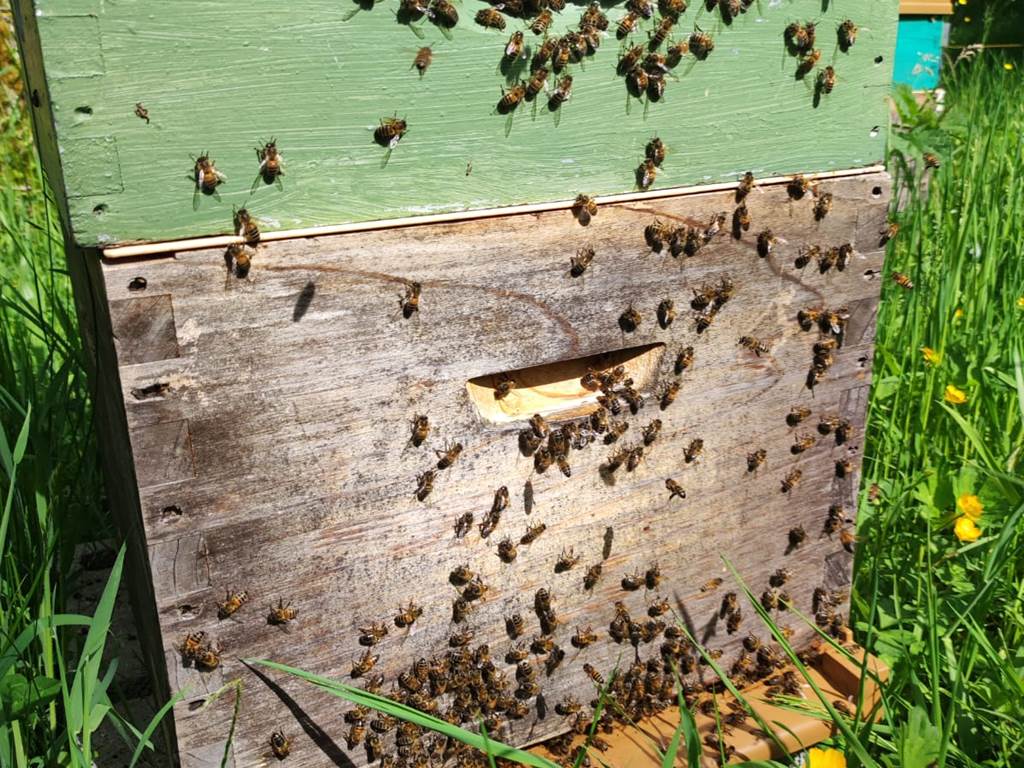 Pays Basque, Pyrénées, Soule, Kakouetta, La Verna, Sainte Engrâce, la Pierre St Martin