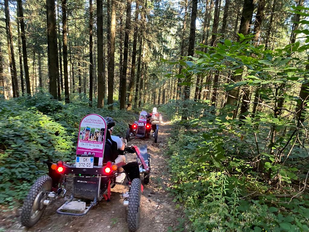 swincar en foret bis ferme des délices foréziens