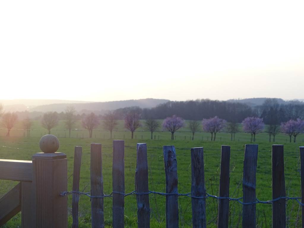 Vue du jardin