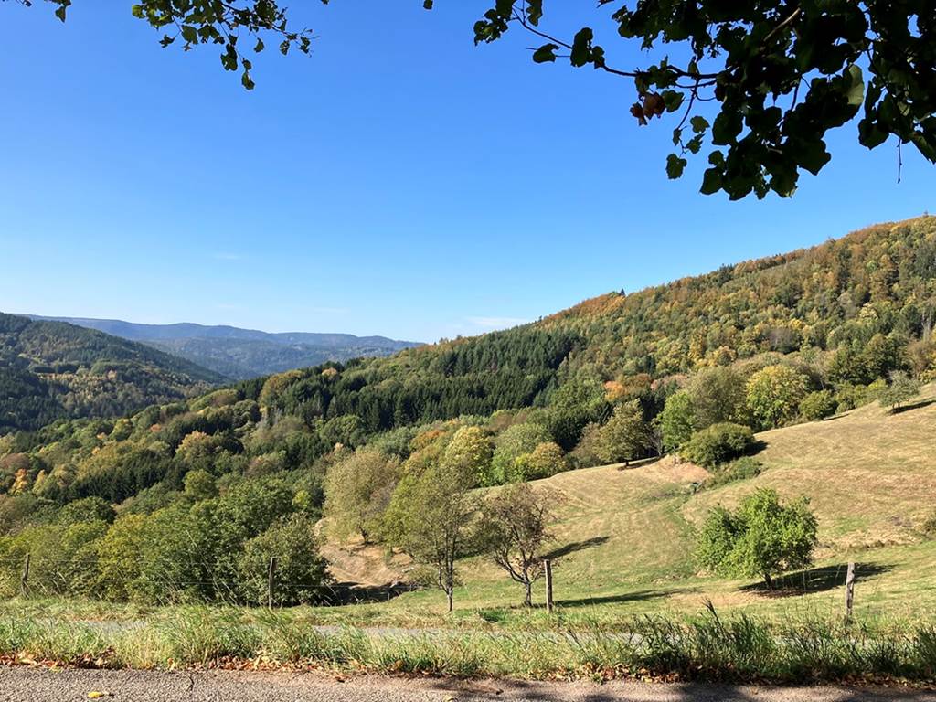 Gite-de-groupe-alsace-vosges-chalet-chambre-ete-champs