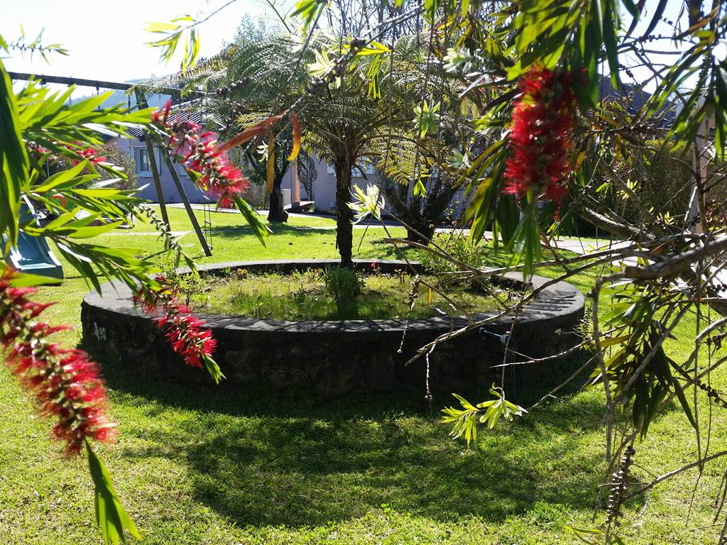jardin 5