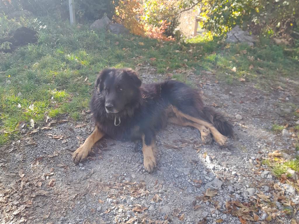 Le Gardien des lieux