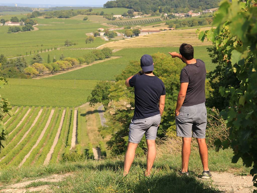 DRÔLES-DE-COGNAC-Vignes
