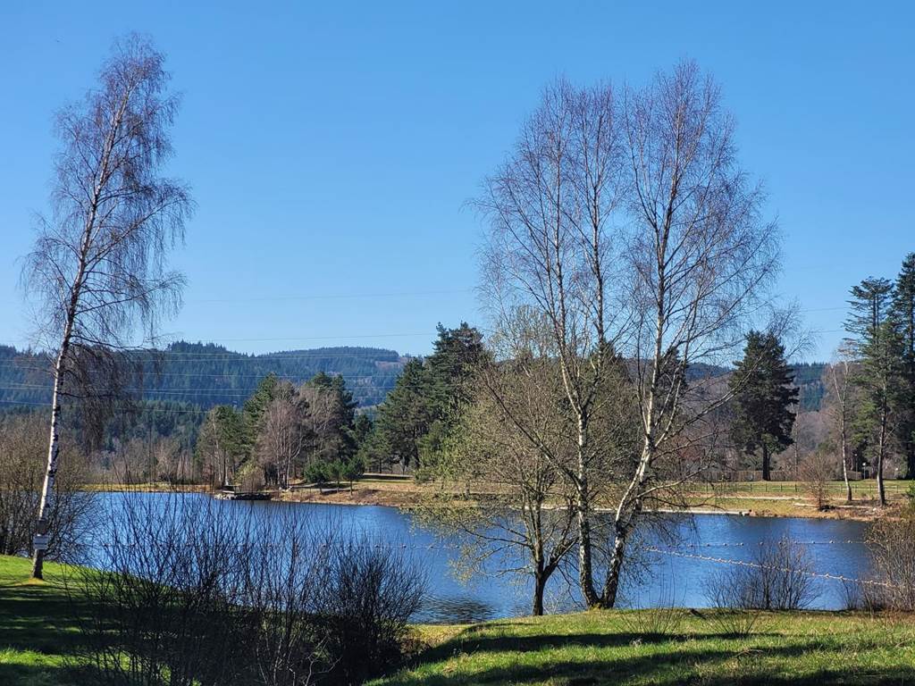 Gîte n°19G4263 "Les Myrtilles" – SORNAC