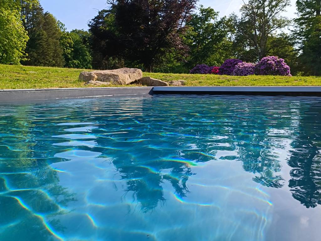 Vue piscine parc
