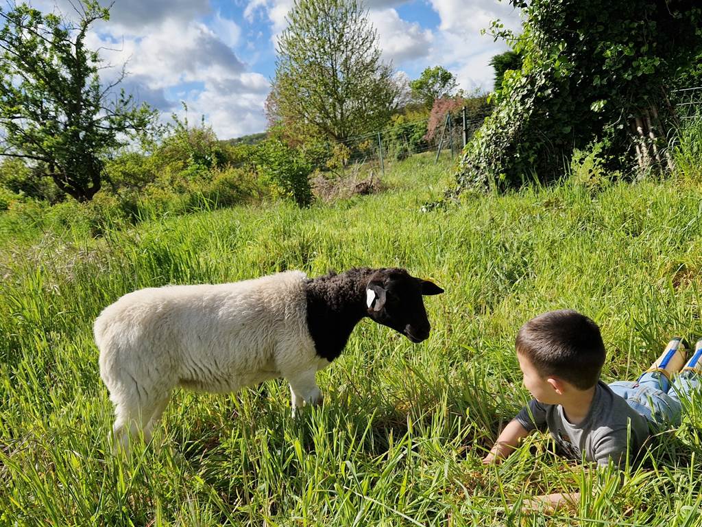 Gîte champêtre avec vue dégagée sur la campagne de Touraine, calme et authenticité au rendez-vous