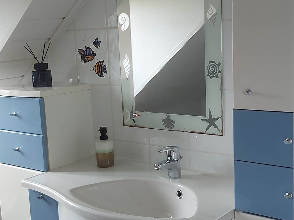 06-lavabo-meuble-miroir-sdb-gite-lecureuil-namur-wepion.jpg