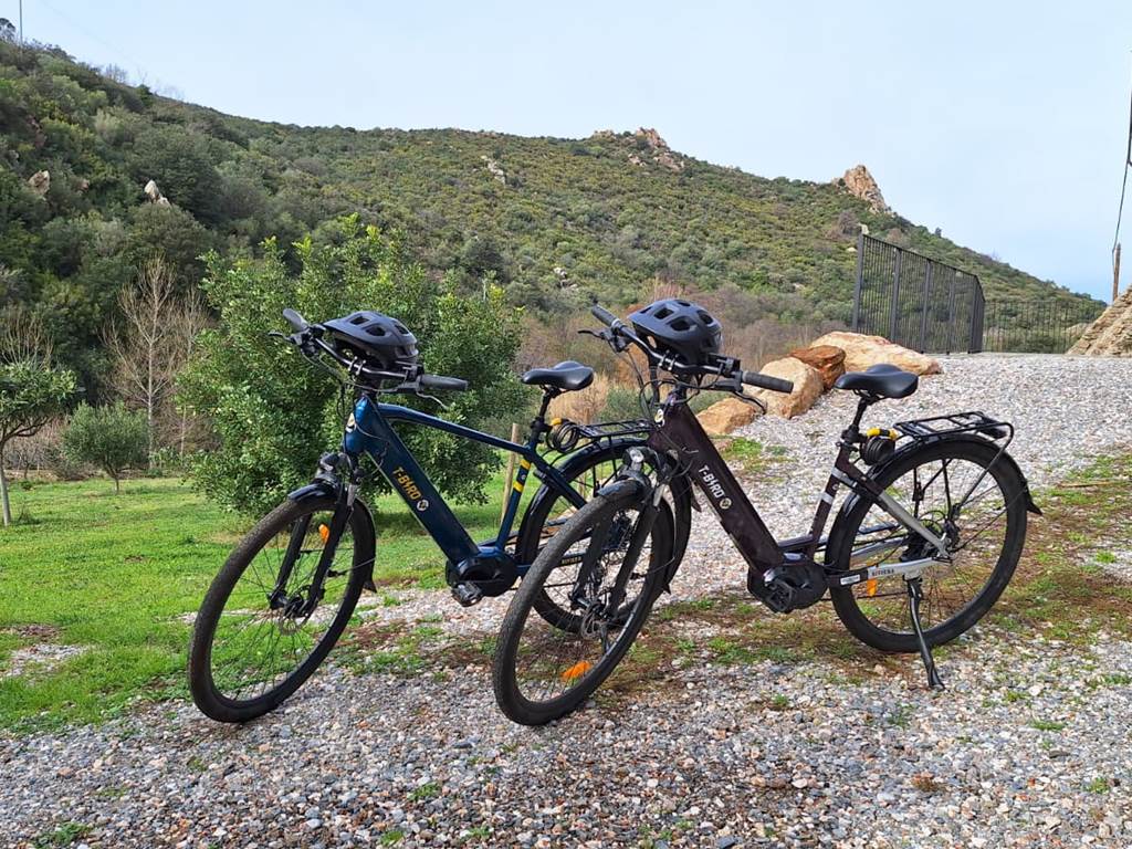 Velos assistance electrique