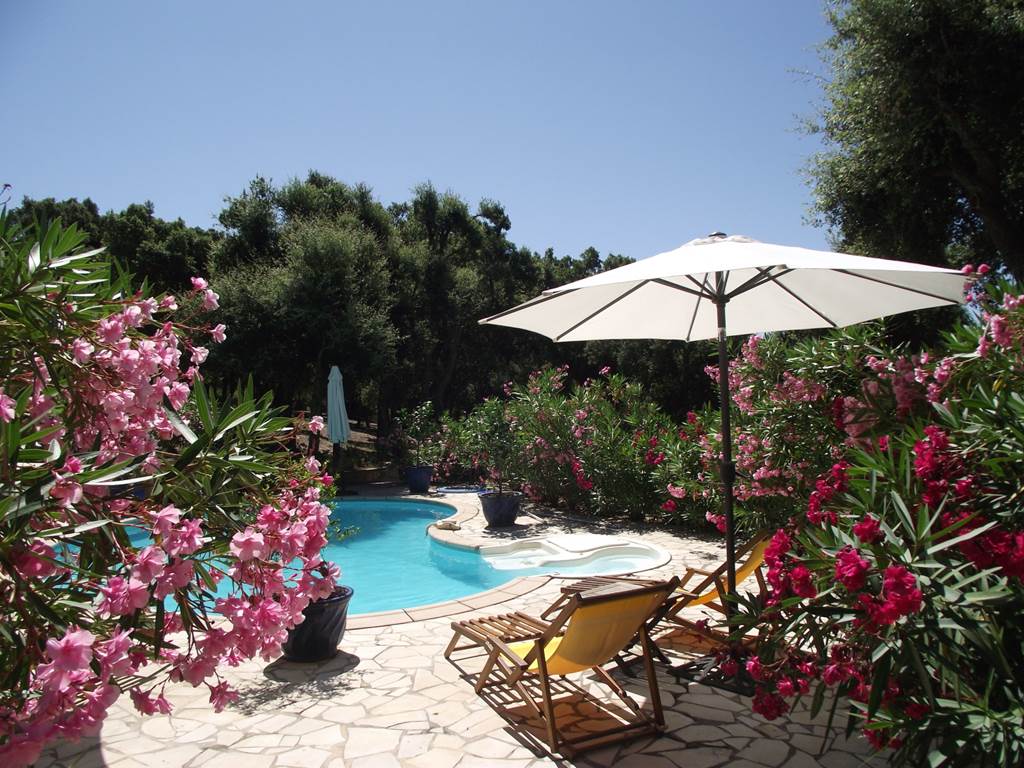 Piscine 014(1)