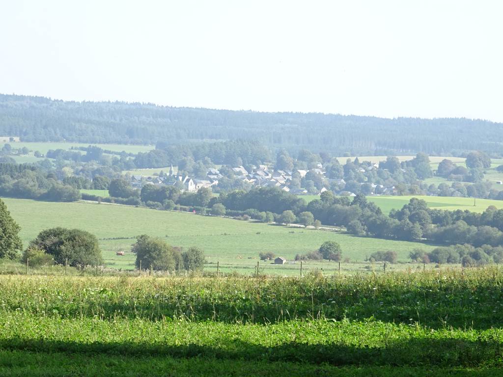 Vue de Vesqueville au sortir d'un bois