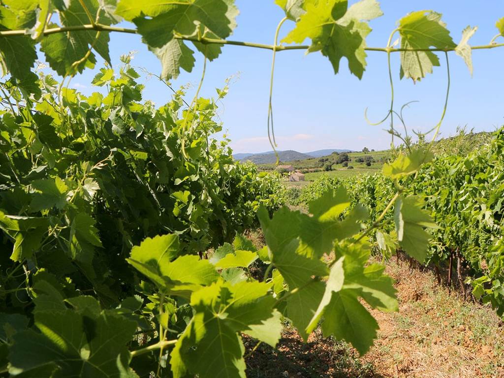 portfolio-paysage-04