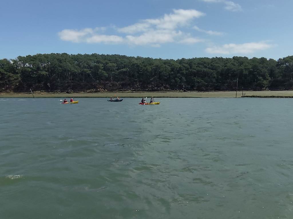kayak-sport-bateau-vacances-ria-etel-morbihan