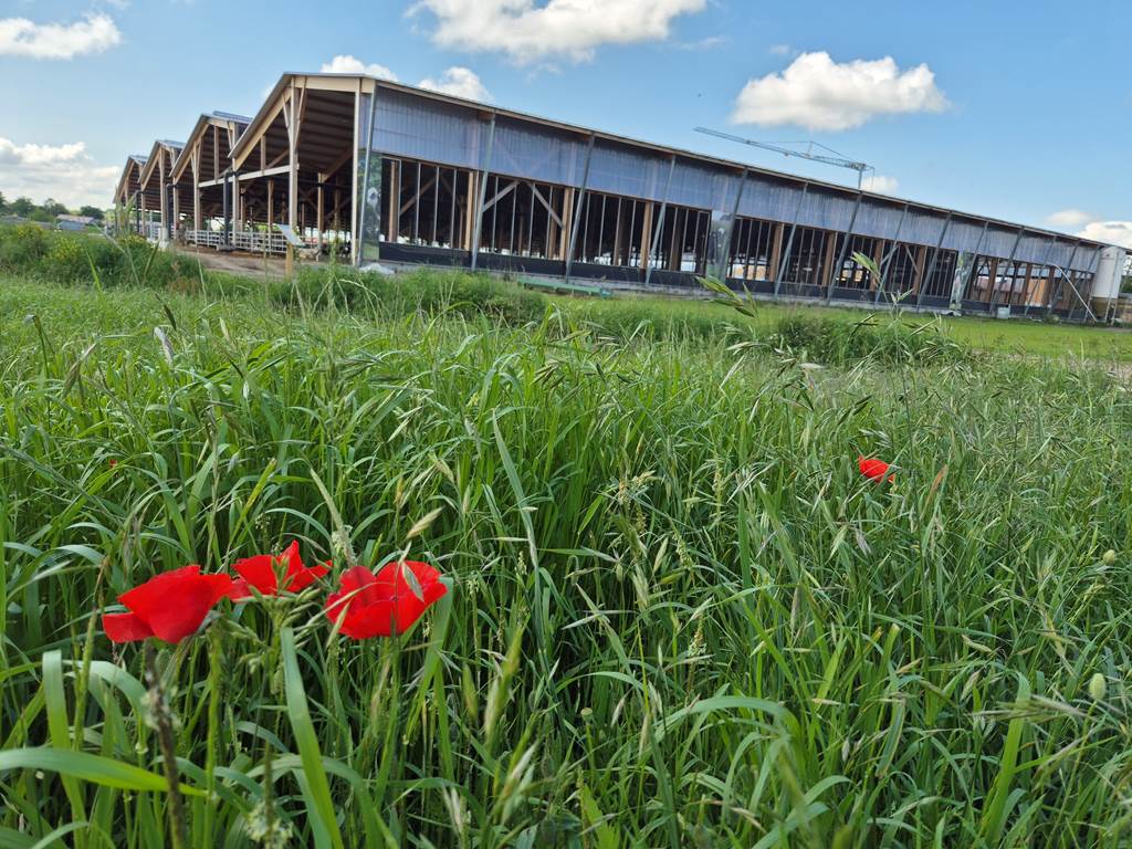 Ferme des Délices Foréziens à Saint Cyr les Vignes