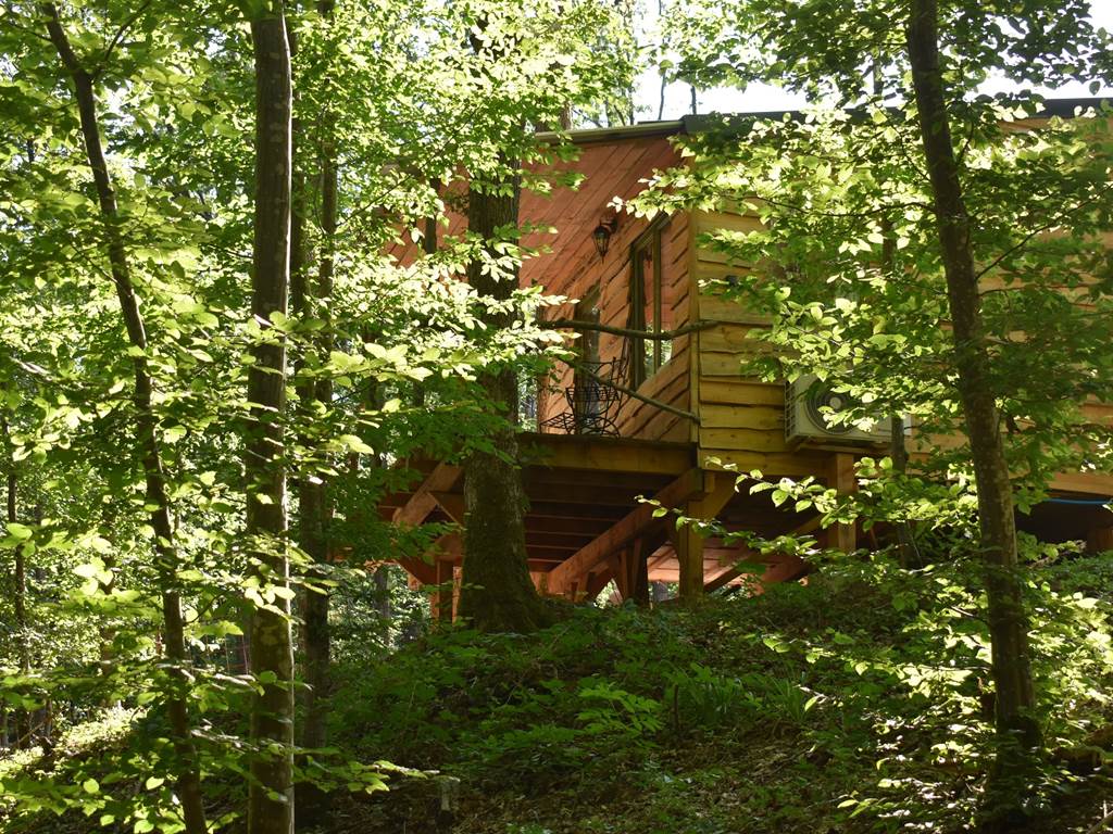 cabane