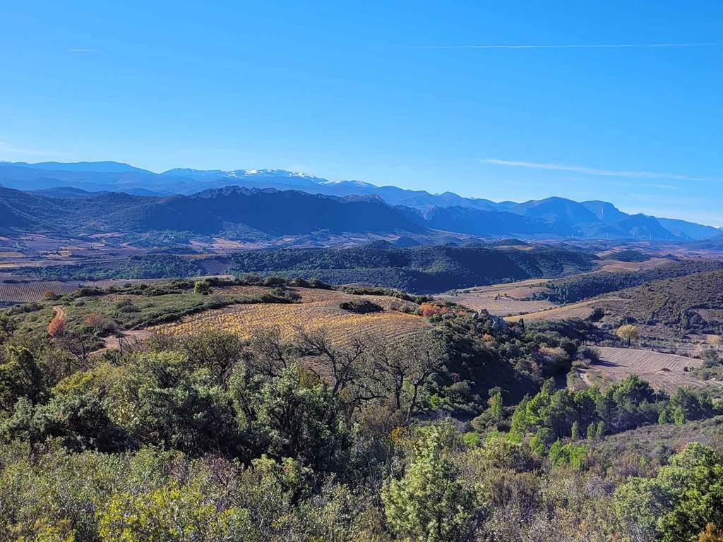 domainelatoupie-chambredhote-roussillon-oenotourisme